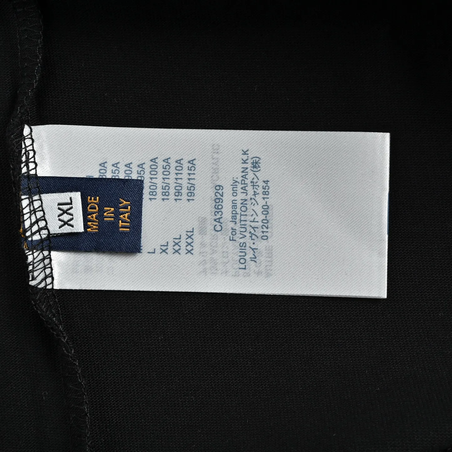 Louis Vuitton/ logo